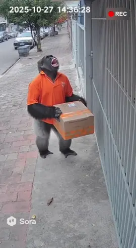 OLHA A ENTREGA DA SHOPPEEEEEE PARTE 3 kkkkkkkkk #sora2 #ia #entregas #zueira 