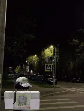 Part 9 #fyp #foryoupage #roblox #robloxstorytime #story 