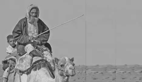 #فهد_المفرج_التميمي 