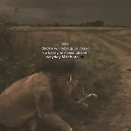 People are Two.✌🏾🖤