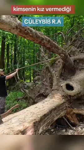 #tevhid #hisbedergisi 