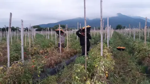 con mucho esfuerzo  ay q seguir ah delante. xq dios nos pone  camino duro al mejor guerrero 🪖🙏