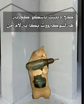 ئەرێوەللەش🗿#ڕیڵ #viral #کورد #real #fyp 