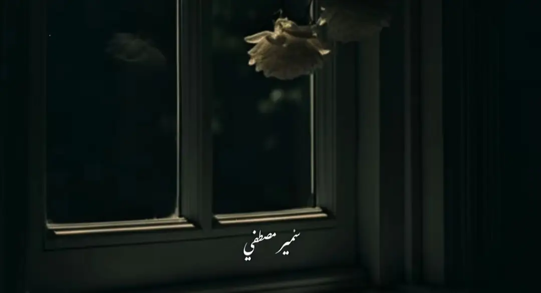 #الشيخ_سمير_مصطفي  #صلي_على_النبي  #صلوا_على_النبي 