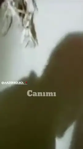 EYY DELİLER GİBİ VURGUNUM SANA İLLE DE SEN İLLE DE SEN 🌹  #azerbaba  #keşfet  #fy  #azerbabam63  #azerbabaunutulmaz🕊📌 