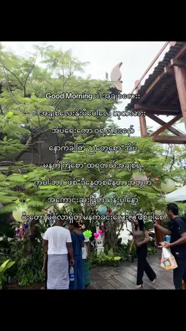 သင့်ချစ်သူစီက ပို့ခံရတာ သင်ဘယ်လောက်ကံကောင်းလိုက်လဲ#fyp #Love #Relationship #morning 