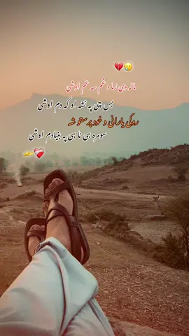 #viralvideo #standwithkashmir #viwesproblem 