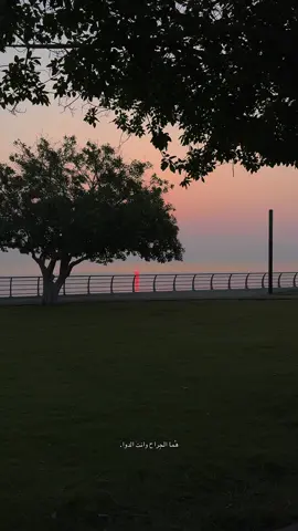 #explore #viral #salma_reda #foryou #4u 