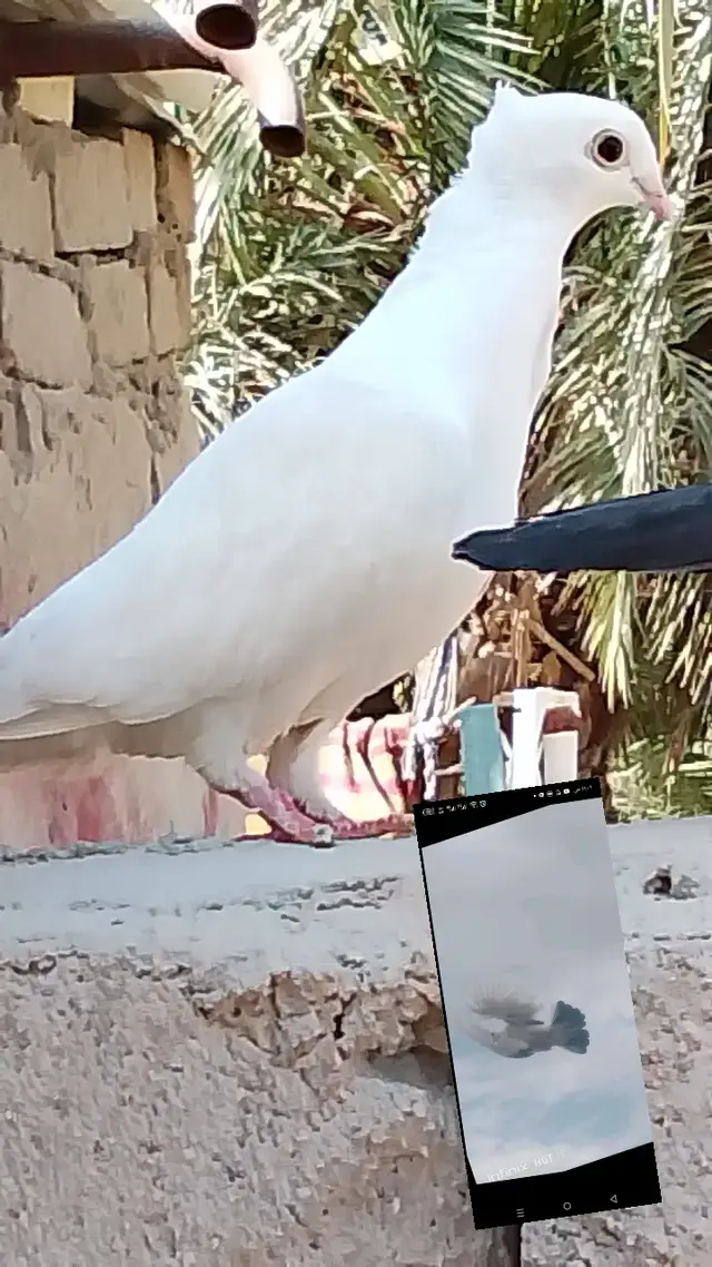 #💔ـ٨ــــــــــ٨ـــــــــــــ٨ـــــــــ💔 