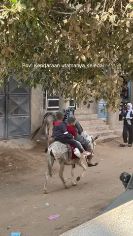 Kemana-mana naik keledai😮‍💨🇪🇬