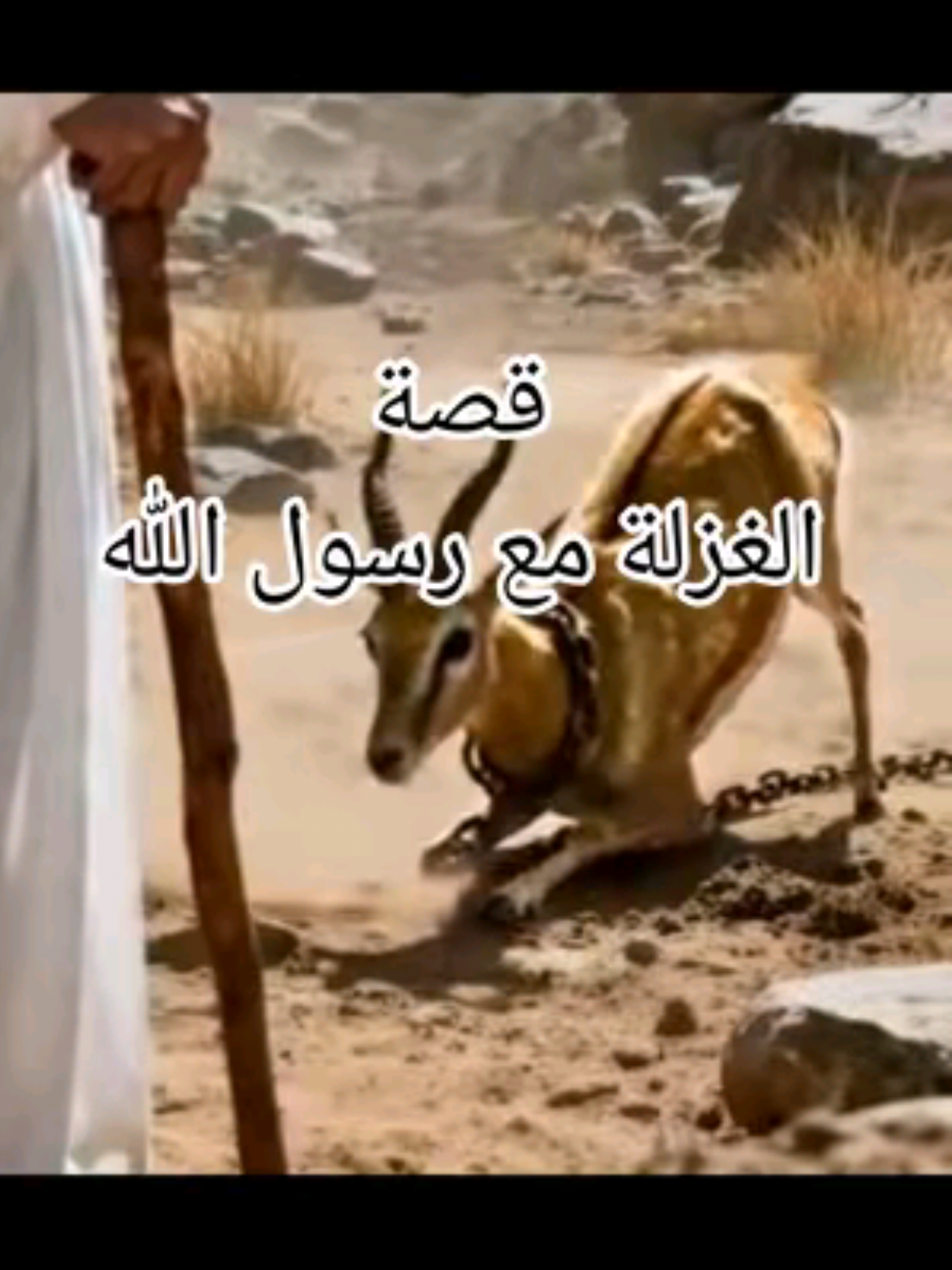 #قصص_الانبياء  استمتعوا_بالمشاهدة #وصلي_على_النبي_في_التعليقات #منابعيني_احيكم #متابعه_ولايك_واكسبلور_فضلا_ليس_ا 