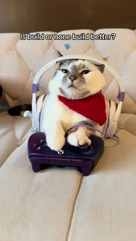 Azia just got a W #cat #catsoftiktok #funnycats #fyp 