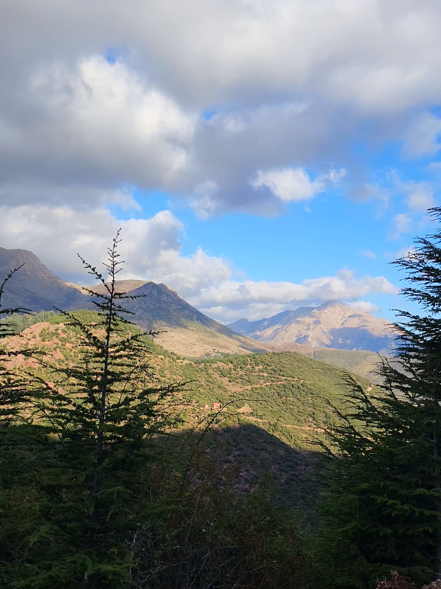 تيكجدة الجزائر #algerie🇩🇿 #tikjda #bouira #تيكجدة 