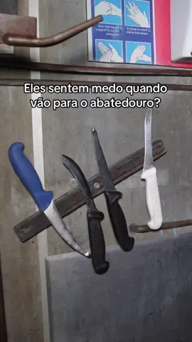 O vídeo de 3 minutos na minha bio mostra a verdade