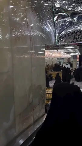 #كربلاء_المقدسة 