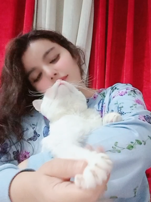 راحة نفسية🤍 #explore #fyyyyyyyyyyyyyyyy #حركة_إكسبلور #catsoftiktok #catlover 