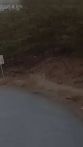 Sen gözyaşıma değmezsin..