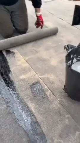 #قصص_من_التاريخ👑 #لايك_متابعه_اكسبلور #صعدوو_ءڪڪسبلور_للايڪ_متابعه #مشاهير_تيك_توك_مشاهير_العرب #محضورين_من_الاكسبلور_والمشاهدات 