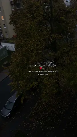 ♥️#اقتباسات #fyp #اكسبلور #ixplore 