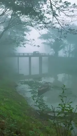 নভেম্বর তুমি চলেই এলে😊👌