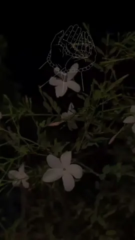 #سوره#طه #قران_كريم #محمد_الفقيه #fup 