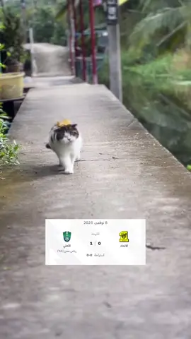 #الاتحاد_الاهلي #الاهلي_الاتحاد #الشعب_الصيني_ماله_حل😂😂 #الاهلي #اكسبلور 