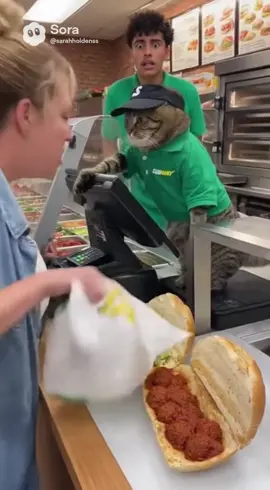 It’s my first day😙 #cat #catlife #funnyanimal #funnycats 