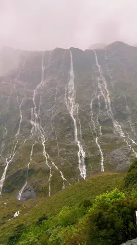 total peace. peep my app @lightpop.io 