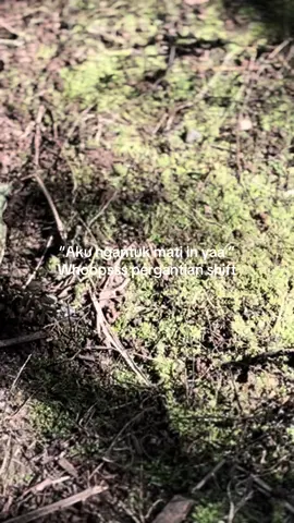 GAPAPA HEM #CapCut ##promomakan1111 #promomakan1111 #cantermaniaindonesia #canterhdx 