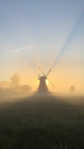 Nebelstimmung am frühen Morgen bei der Mühle Wynhamster Kolk in Ditzumerhammrich… . . #ostfriesland #sunrise #foggymorning #countryside 