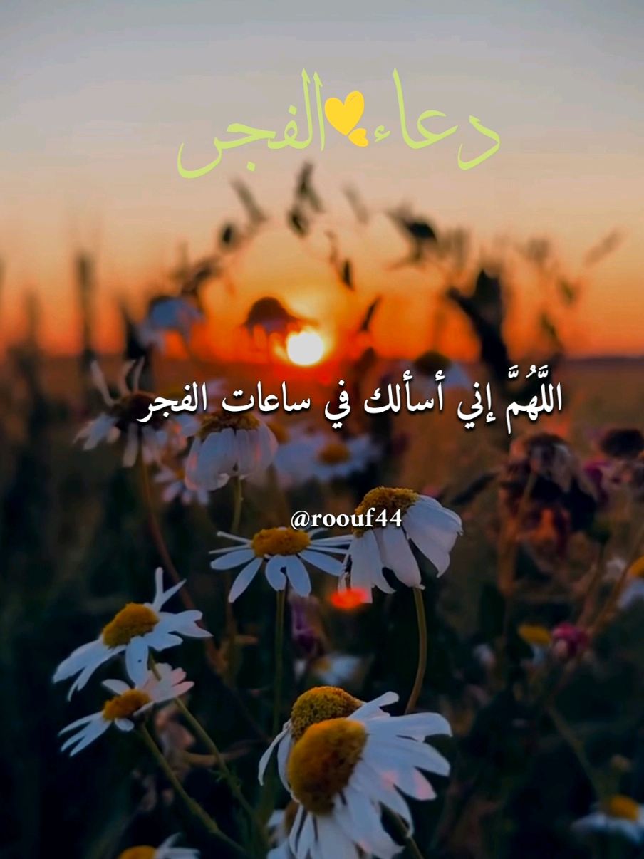 دعاء الفجر يوم الاحد 9/11/2025 🌺🌺 #دعاء #الفجر يومالاحديارب 🕊🕊 #اللهم_امين_يارب_العالمين 💕🌤 #دعاء_الصباح #صباح_الخير 🤍🌺🌺 🤲🤲🕋🕋🤲🤲 