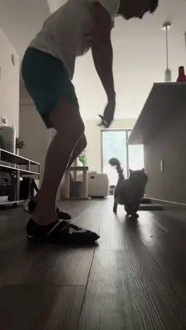 He’s a dog 🤣 #catsoftiktok #cats #funnytiktok 