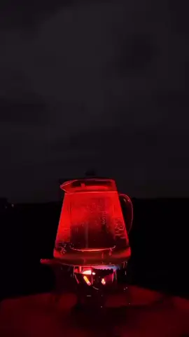 🌷.                                                           🤍