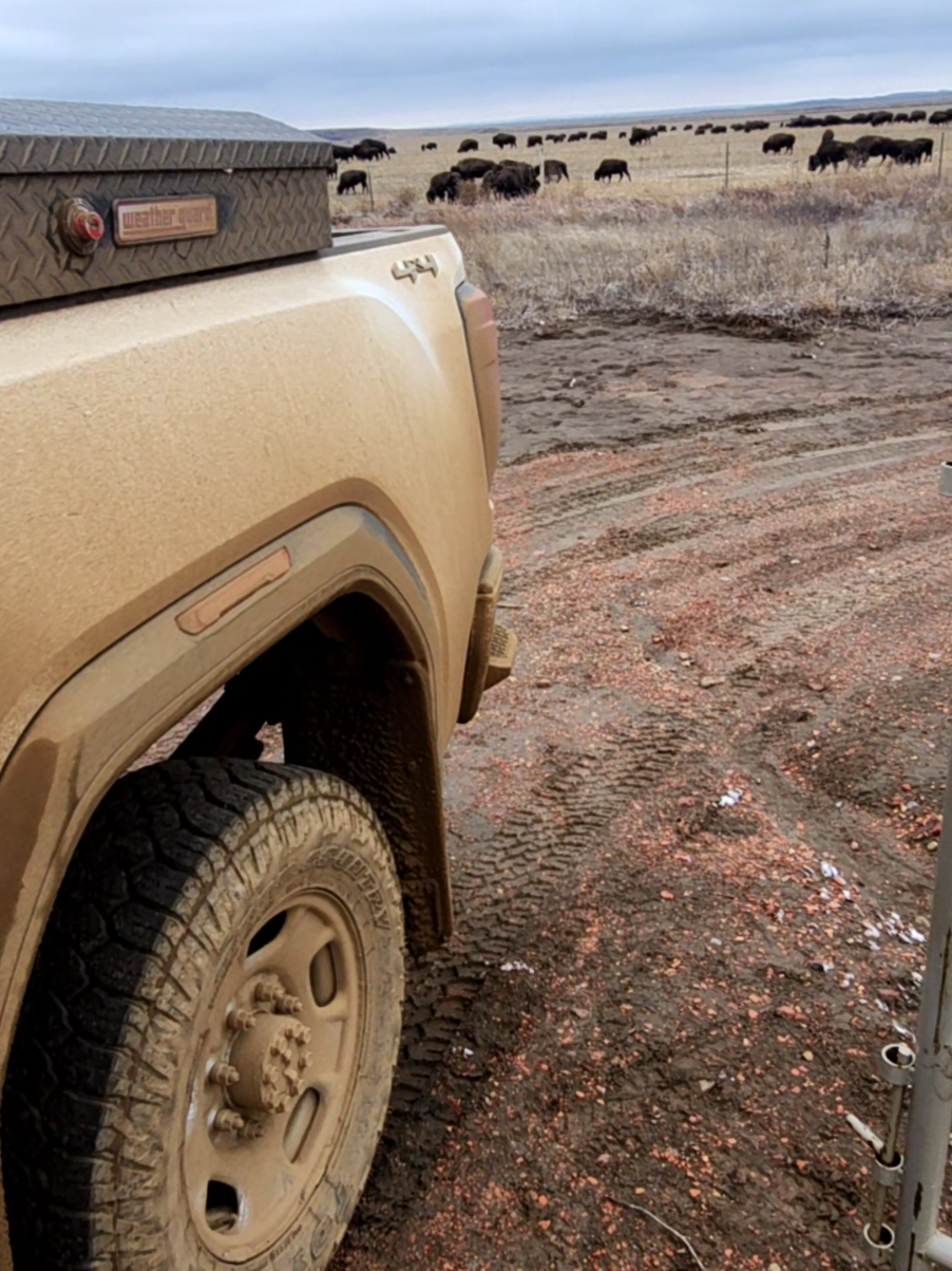 hey @Wyomingfella5 check it #oilfield #buffalo 