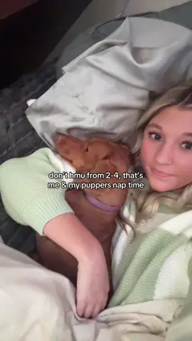 napping is our fav hobby 