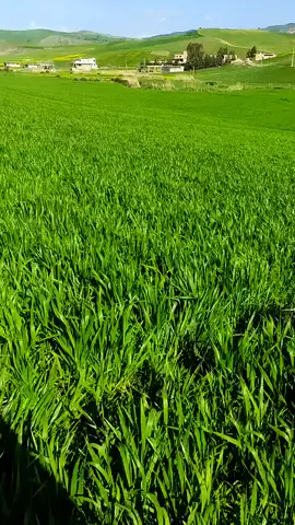 #tiktokindia #tiktok #unfreezemyacount #Meme #اللهم_صلي_على_نبينا_محمد 