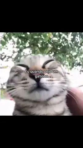 #fyfyfyfyfyfyfyfyfyfyfyfyfyfyfyfyfyfy #viralizou #Viral 