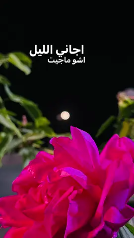 #الانبار #تصويري_احترافي_الاجواء👌🏻🕊😴 #اغاني #حسام_الرسام #trending 