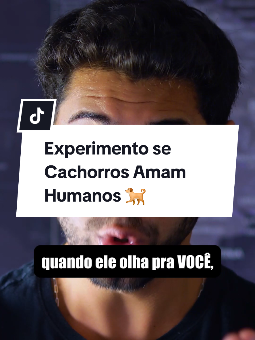 Experimento se Cachorros Amam Humanos 🐕 CLÁSSICA: 16 min: https://www.youtube.com/watch?v=9ARKKx9yiHA&t=2s&ab_channel=ClassicalMusicbut... Canal @classicalmusicbut no YouTube, Spotify:  https://tinyurl.com/classicalmusicbutspotify Song: Aliaksei Yukhnevich - Empire on Fire (No Copyright Music) Music provided by Tunetank. Free Download: https://bit.ly/3fkwxO8 Video Link:    • Aliaksei Yukhnevich - Empire on Fire ...