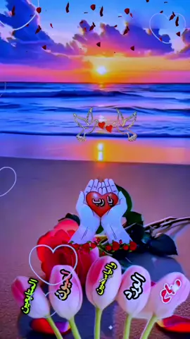 #دعاء_يوم_الاحد #اللهم_امين #ادعية_اسلامية_تريح_القلب #اسعد_الله_جميع_اوقاتكم🌹🌹  #اللهم_انك_عفو_تحب_العفو_فاعف_عنا صباح الخير والسعادة  صباح الورد والياسمين 