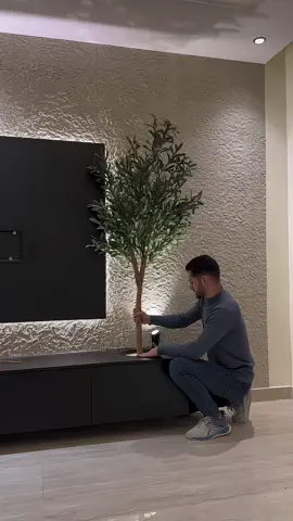 #ديكورات #جدة #ديكور #شجرة 