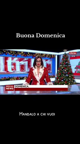 #battute #divertenti #comicita #ironia #domenica battute divertenti, comicità semplice, situazioni comuni raccontate con un sorriso. 