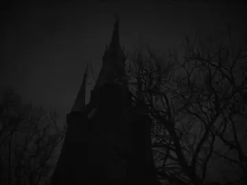 Alle warten auf das Licht #rammstein #sonne #врекомендации #футажстекстом #recommendations 