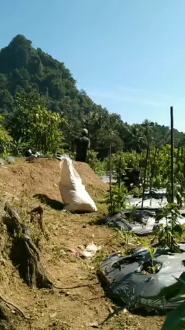 #renungan #lewatberanda #fypage #fyppppppppppppppppppppppp #lewatberandafyp 