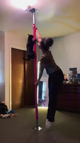 She slapped me in my face cause I forgot the kiss 😭🥴🐾🐈‍⬛💕 #viral #diva #cat #poledancer #fyp 