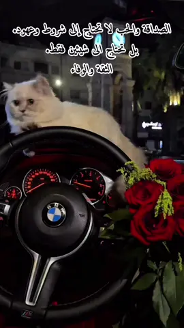 الصداقة والحب لا تحتاج الى شروط وعهود. بل تحتاج الى شيئين فقط. الثقة والوفاء #حكم #اقوال #عبارات  #اقتباسات_عبارات_خواطر🖤🦋❤️  #متابعة_قلب_تعليق_مشاركة_ 