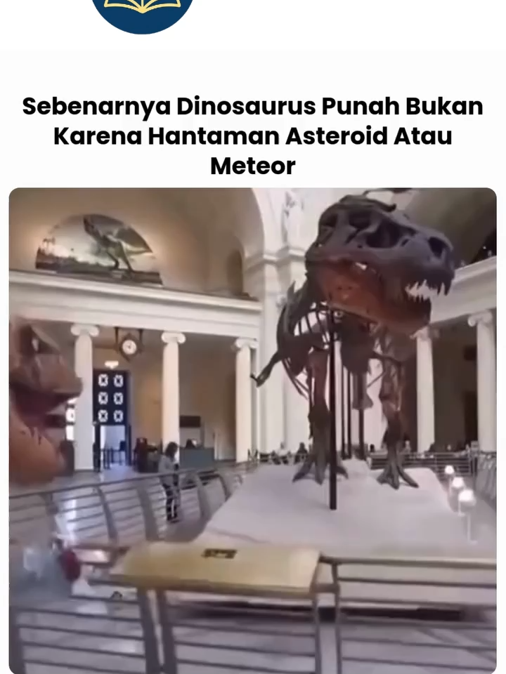 Jadi emang asteroid sering banget disebut-sebut sebagai biang keladi kepunahan dinosaurus, tapi sebenernya itu cuma salah satu faktor aja. Ada teori lain yang bilang kalau kepunahan dinosaurus tuh lebih kompleks kayak kombinasi beberapa hal yang barengan bikin bumi jadi tempat yang nggak ramah lagi buat mereka. Salah satu faktor lainnya adalah aktivitas vulkanik yang gede di zaman itu, terutama di daerah yang sekarang jadi India (namanya Deccan Traps). Gunung-gunung berapi di situ meletus terus-menerus selama ribuan tahun, ngehasilin gas-gas kayak karbon dioksida dan belerang dioksida. Ini bikin iklim kacau, suhu bumi naik turun, dan atmosfer jadi nggak stabil. Selain itu ada perubahan level laut yang bikin habitat mereka makin susah buat ditinggalin. #ligasamudera #reels #reelsvideo #reelsviral #ilmu #belajar #fypp #hiburan #ilmupengetahuan