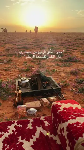 خذوا الخُلق الرفيع من الصحاري #شعر #قصيد 