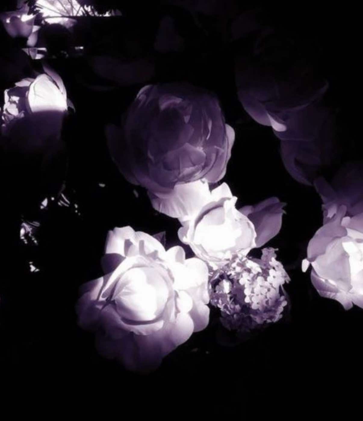 only reason why im still here today. #fyp 