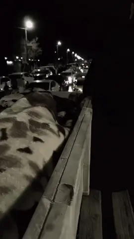 #ضاكت #متى #ياسر_الحزيمي #متى #الرحيل 